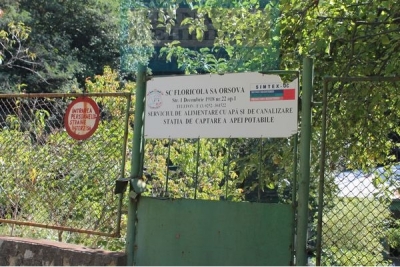 FLORICOLA, PUSĂ ÎN GENUNCHI DE CONSILIUL LOCAL ORȘOVA