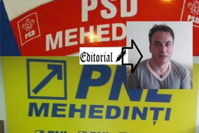PSD mai puternic decât PNL, în Mehedinţi