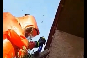 TERORIZAȚI DE GĂRGĂUNI