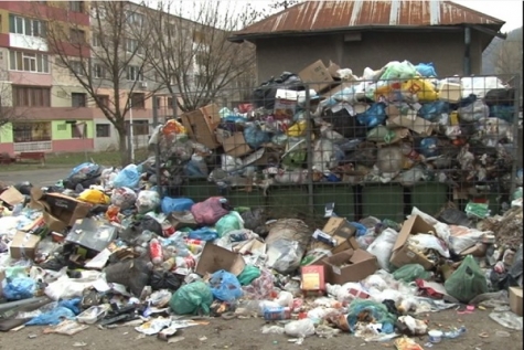 FLORICOLA, OBLIGATĂ SĂ RIDICE GUNOIUL