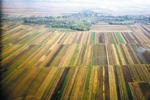AGENȚIA DOMENIILOR STATULUI, ANUNȚ LICITAȚIE PUBLICĂ