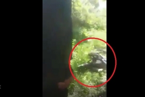 SCENE DE VIOLENŢĂ INCREDIBILE ASUPRA UNUI COPIL