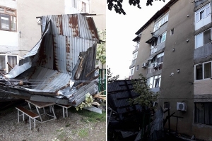 VIJELII &Icirc;N MEHEDINŢI ŞI CARAŞ-SEVERIN