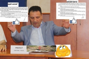 REZILEREA CONTRACTELOR FLORICOLA CU PRIMĂRIA ORȘOVA, ATACATĂ DE PREFECT