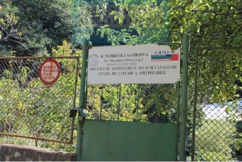 FLORICOLA, PUSĂ ÎN GENUNCHI DE CONSILIUL LOCAL ORȘOVA