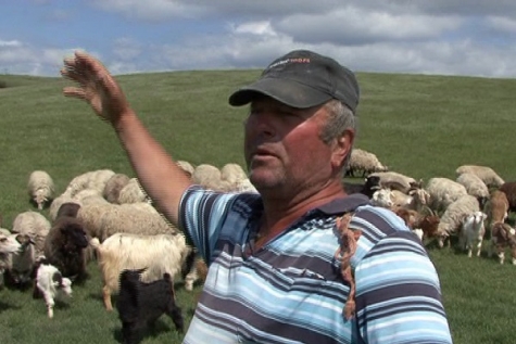 CÂINII ABANDONAŢI ÎN SATE SFÂŞIE ANIMALELE LOCALNICILOR